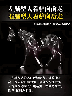 我已经很努力地看了，但真看不出来它有往前走… 