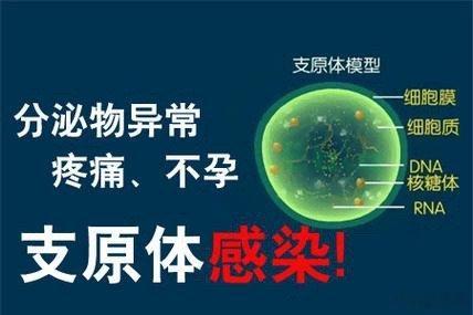 #发烧咳嗽老不好警惕支原体肺炎#发烧咳嗽老不好可能是支原体肺炎的症状之一，但也可