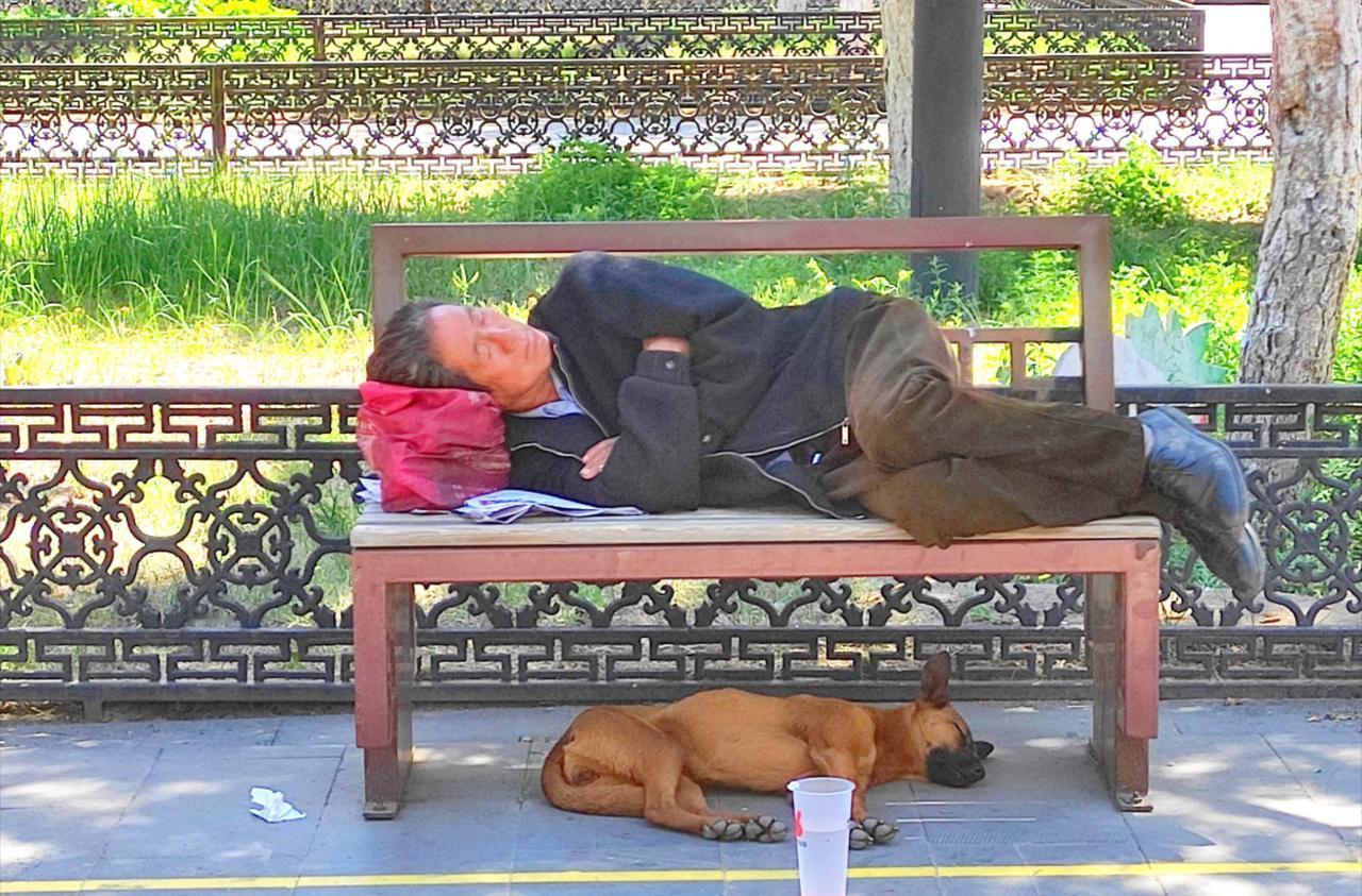 大同人、大同狗都是需要午休的