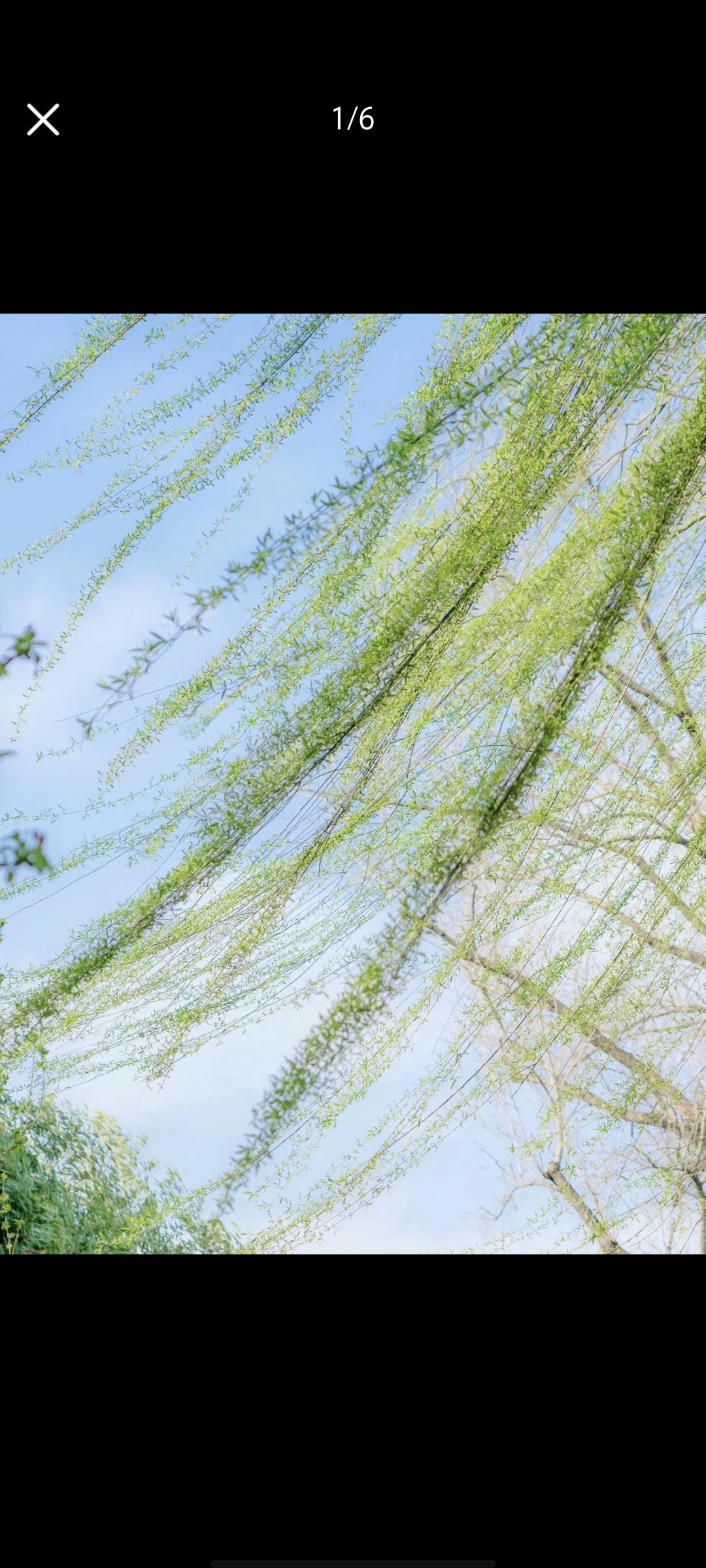 下联：春风暖暖暖春风，上联怎么对“春风暖暖”的上联可从季节、景物、氛围等角度对仗