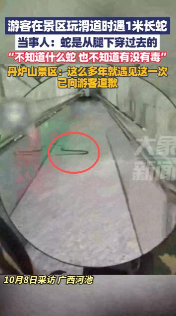 “太吓人了！”10月3日，广西河池，一男子在玩景区内的玻璃滑道时身后忽然窜出一条