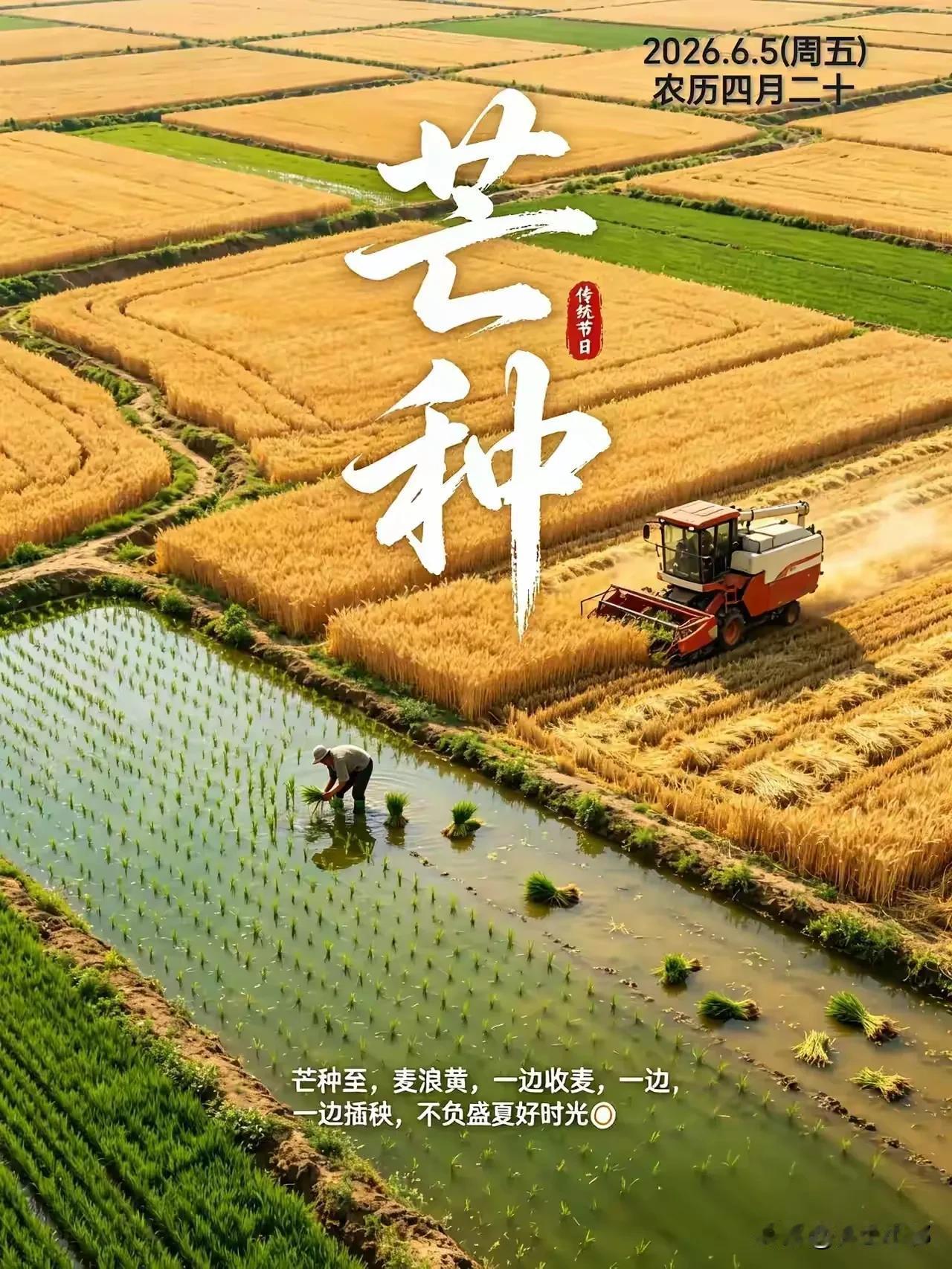 “伏天热不热，就看芒种”，今日芒种，今年夏天到底会有多热？

民间有“伏天热不热