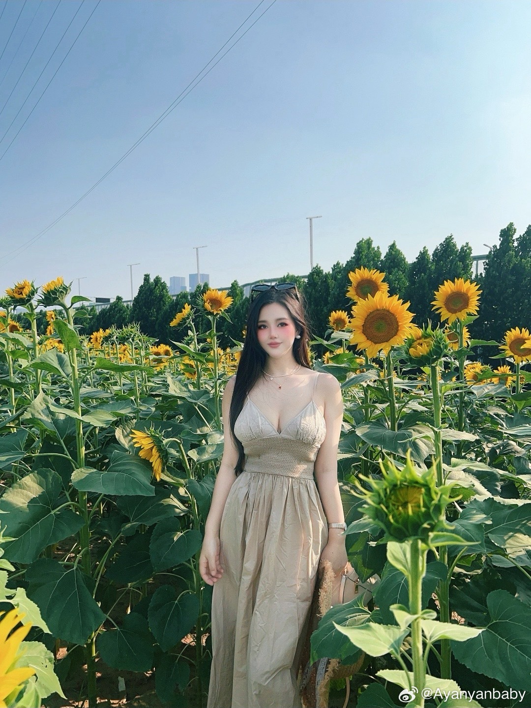 向日葵🌻 郑州·郑州龙之湖大学城