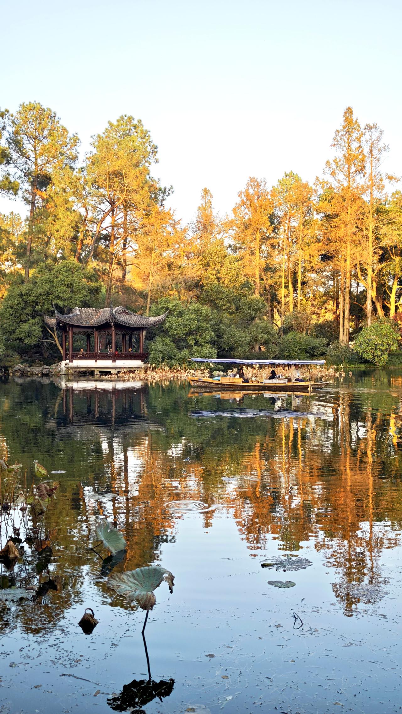 冬日生活打卡季