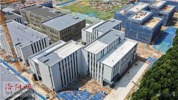 洛阳高新区盘活低效用地 打造科创高地
 洛阳新动能产业园建设现场
 　　多台吊车