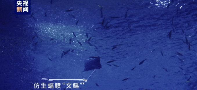 全球首张！国产"魔鬼鱼"亮剑水下，改写海战规则，近日，国产"魔鬼鱼"仿生水下潜航