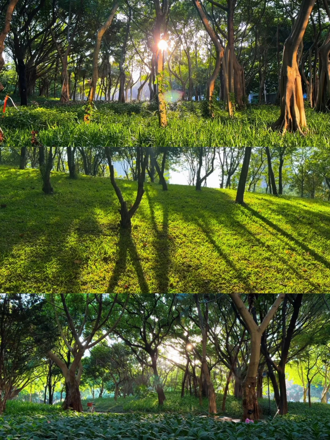 我好像听见了自然呼吸的声音