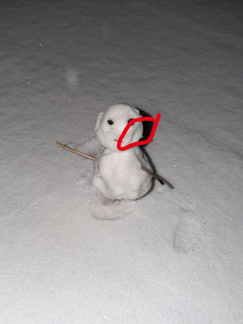 田栩宁晒工作室伙伴堆的雪人不愧是爆款模特身材管理下的工作室，连堆的雪人都面颊凹陷