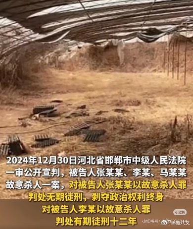 铁拳教育 第六集repo。没想到是未成年人刑事犯罪案件。让我想起了李乐山案件。故