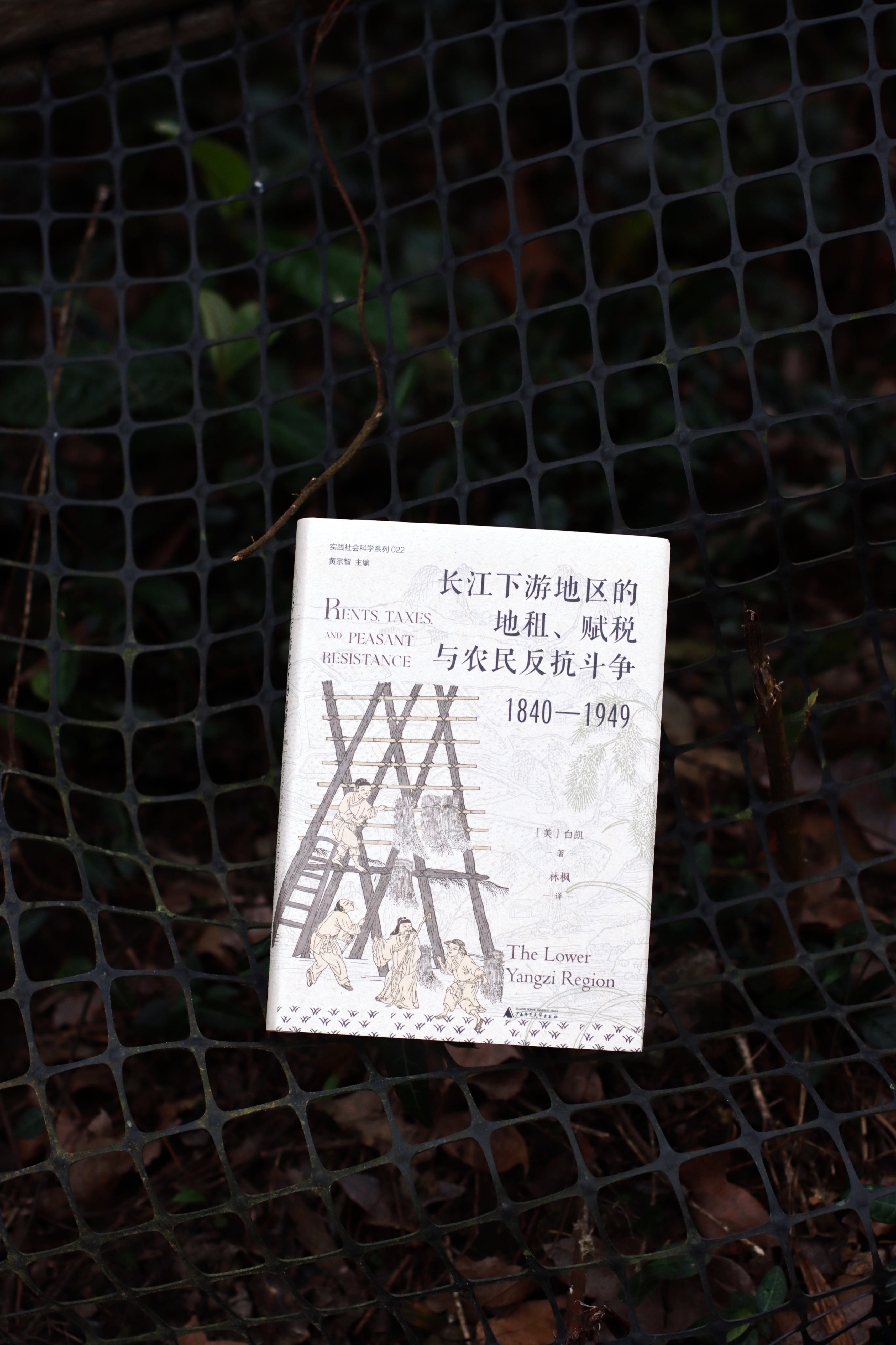 转发赠书 一百年前的江南农村，到底发生了什么？地主、佃户、官府，每天都在为什么争