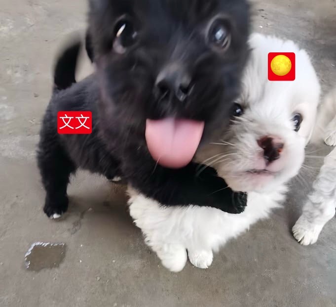刘耀文：我就是满月重度依赖怎么了！ 