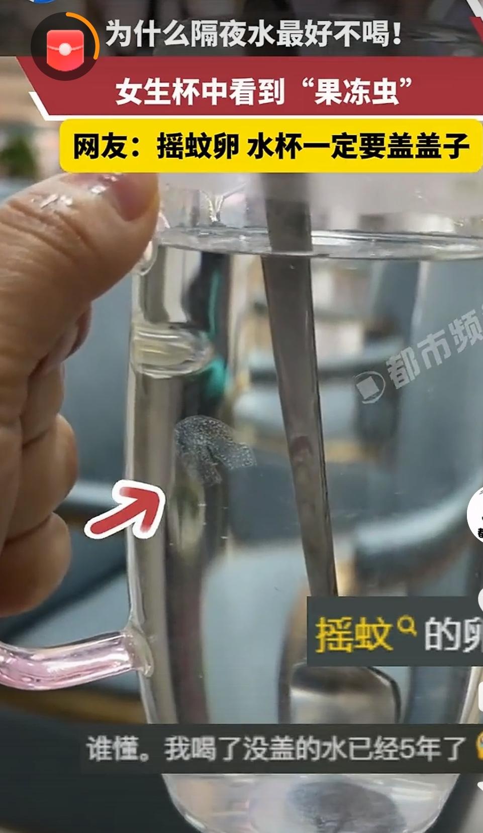 救命！隔夜水杯里惊现“果冻虫”，医生这话让我笑到喷饭
 
家人们谁没干过“睡前晾