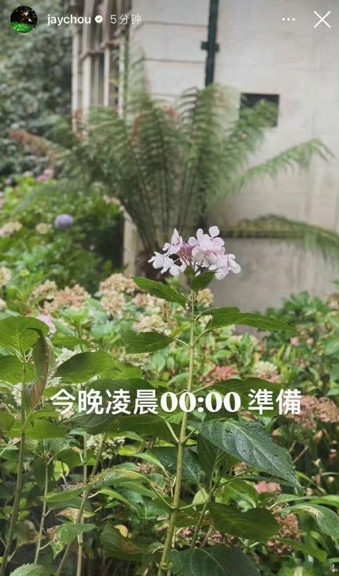 周杰伦说今晚0点准备i锐评 周杰伦现在已经不是发歌了，是发一个“全网待机通知”。