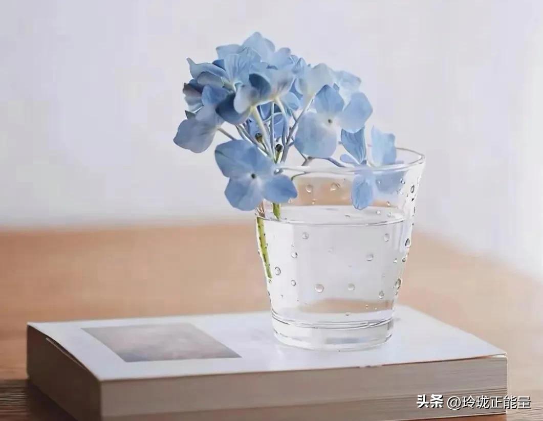 一位心理学家说：“相处久了，你就会发现，一个男人也许会爱无数女人，但他心里总有一