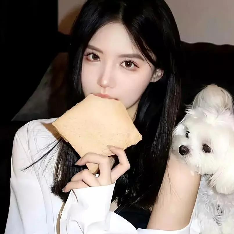 与小狗一起享受的下午茶时光甜系下午茶 宠物鲜食下午茶 小猫下午茶 带狗狗去咖啡馆