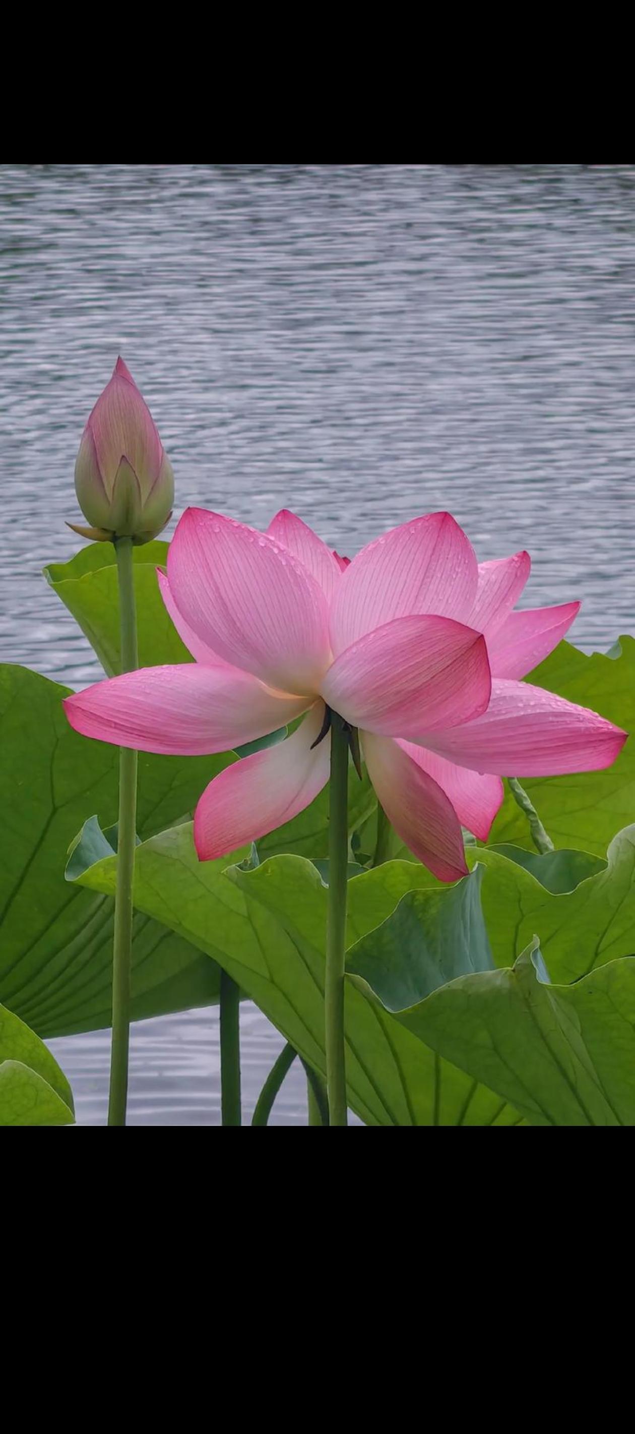 中方：将向菲人民提供紧急援助。
近日，菲律宾多地因台风遭受重大人员伤亡和财产损失