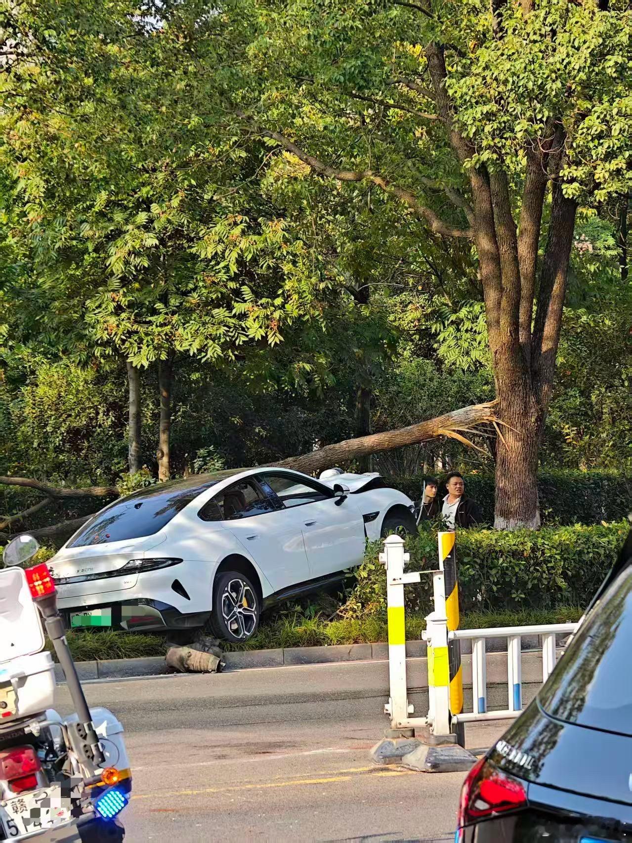 一出来就看到这，就看有人突然一下控制不住进绿化带了… ​​​