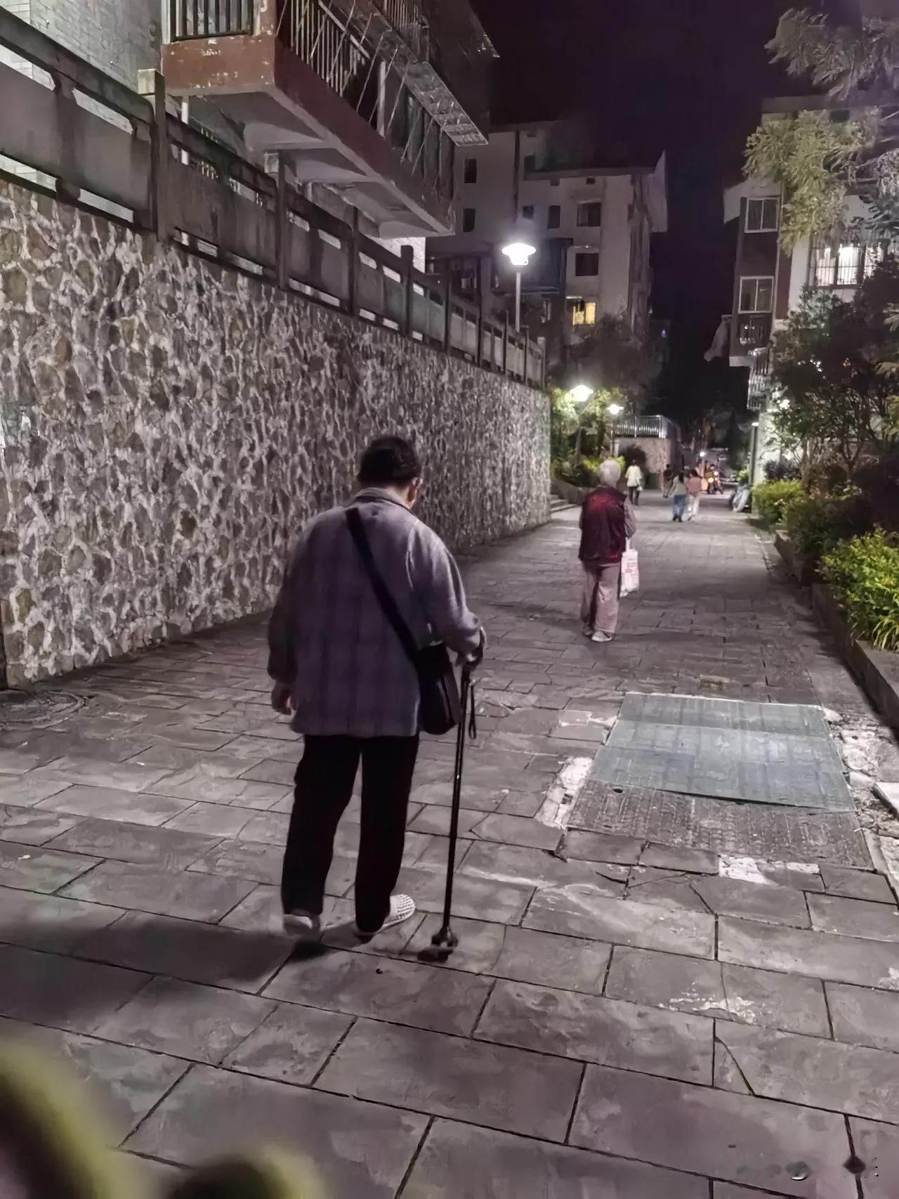 夜已深，他们互相搀着在小区里散步，这大概就是老去最好的模样

晚上九点多，刚参观