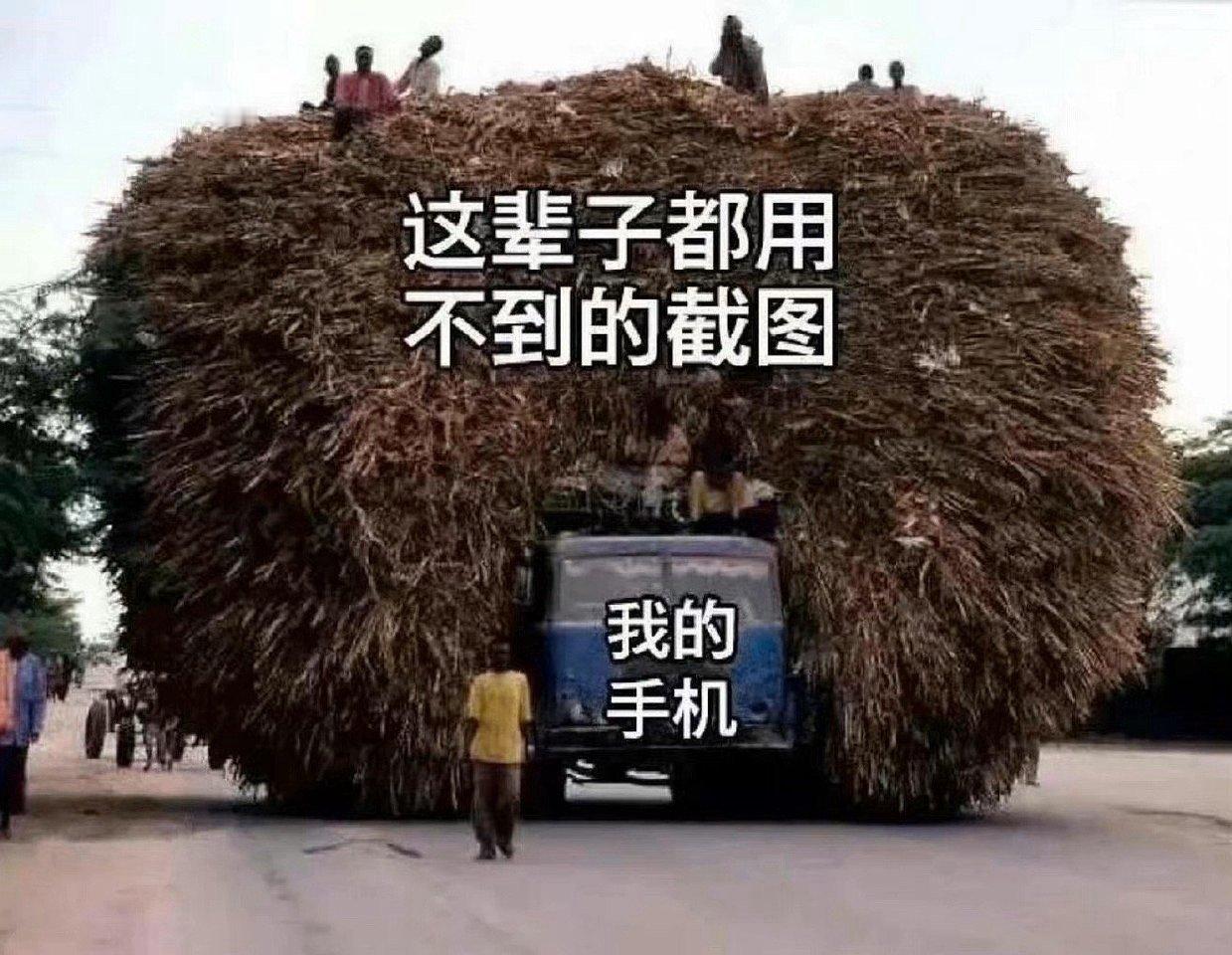 我的手机be like： 