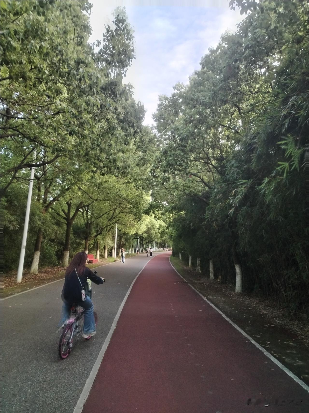 5公里跑步需要多久时间?
无跑步基础的小白，40分钟左右，8分钟的配速，
普通业