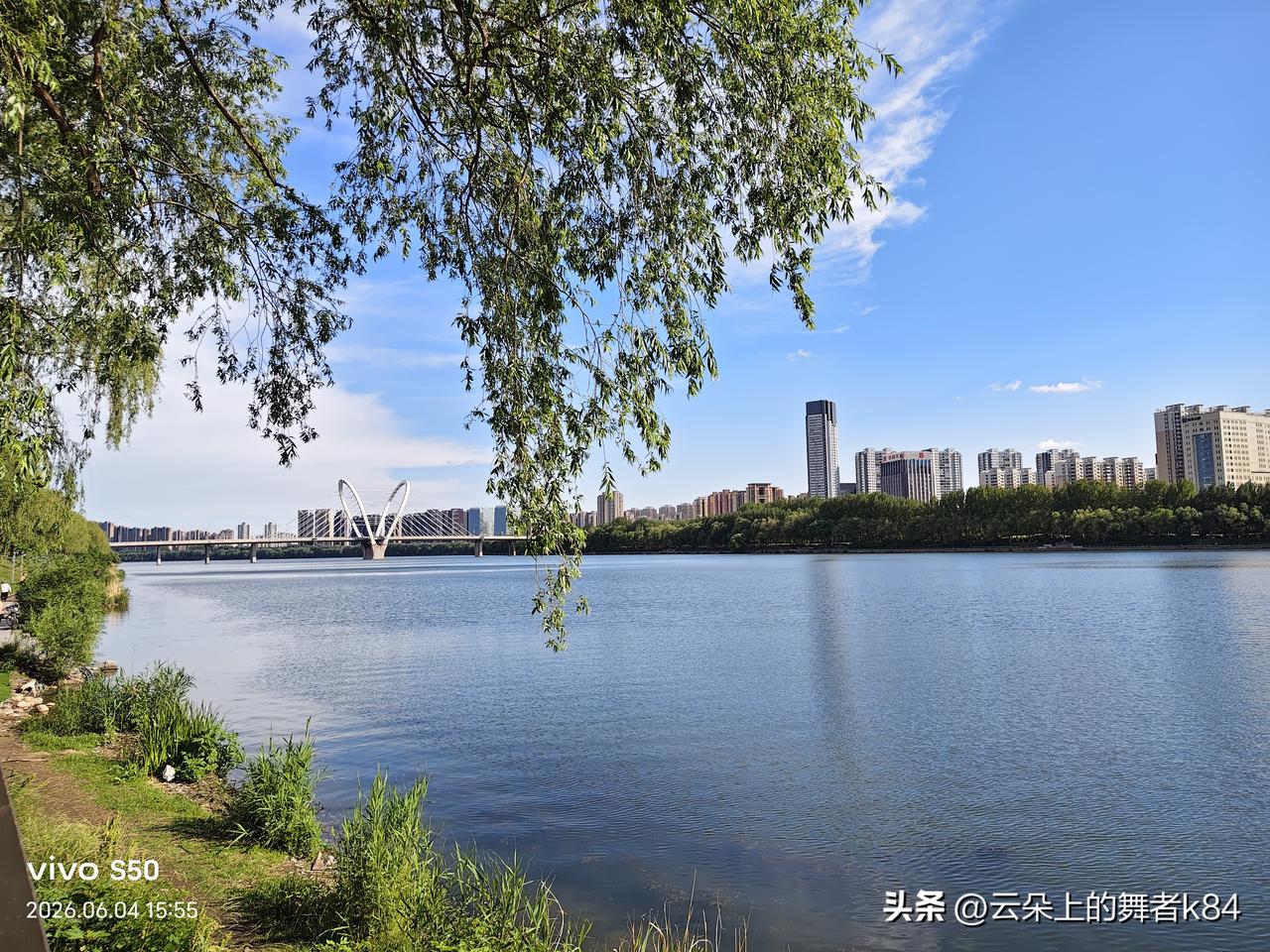 分享一下你随手拍下的照片雨后的沈水湾公园，天空湛蓝，河水清澈，绿植葱茏，空气清新