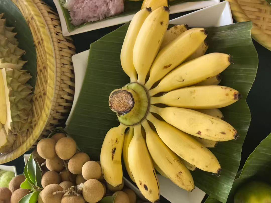 热带水果拼盘，色彩缤纷，清新诱人！🍌🥭🥭🥭