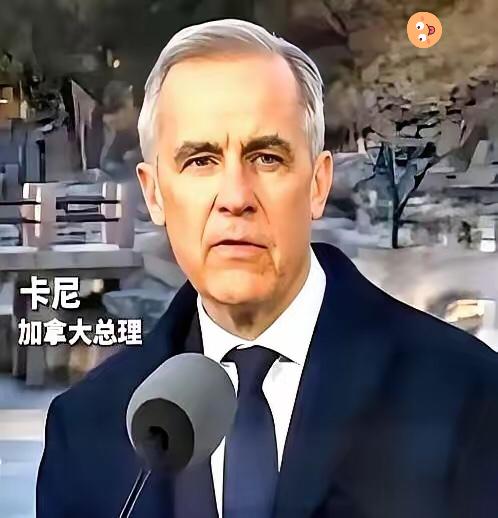 大总理卡尼，亲手撕了剧本。
前脚刚跟着美国，把中国电车的关税加到100%，后脚，