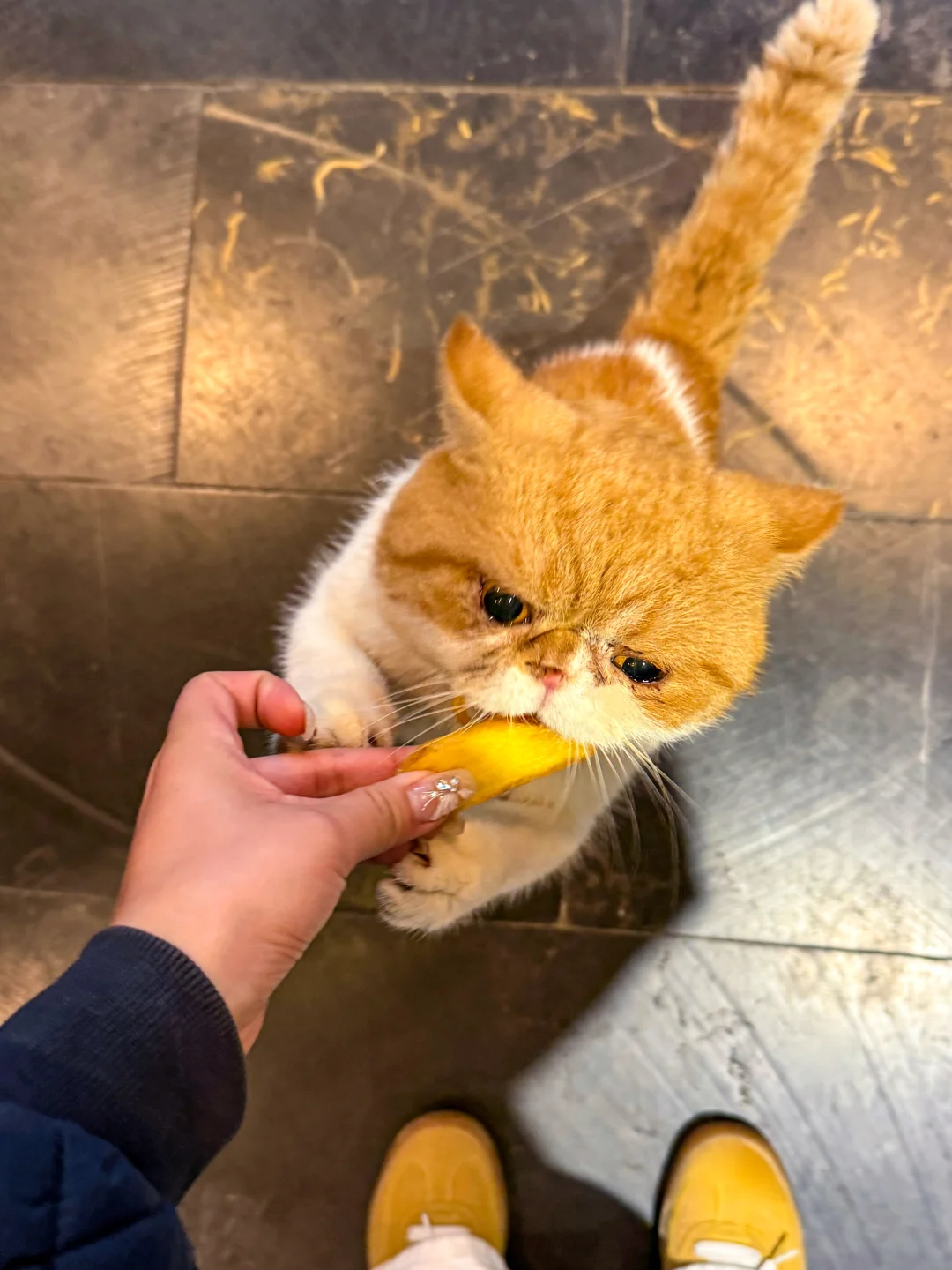 🔒锁死这家老韩餐🧑‍🎓从校服吃到现在的