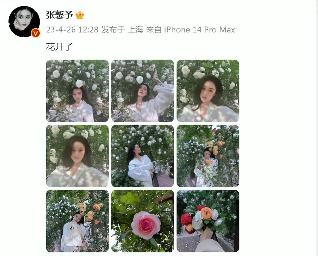4月26日，演员张馨予穿睡袍在自家院子里拍照，并配文“花开了 ​​”。

张馨予