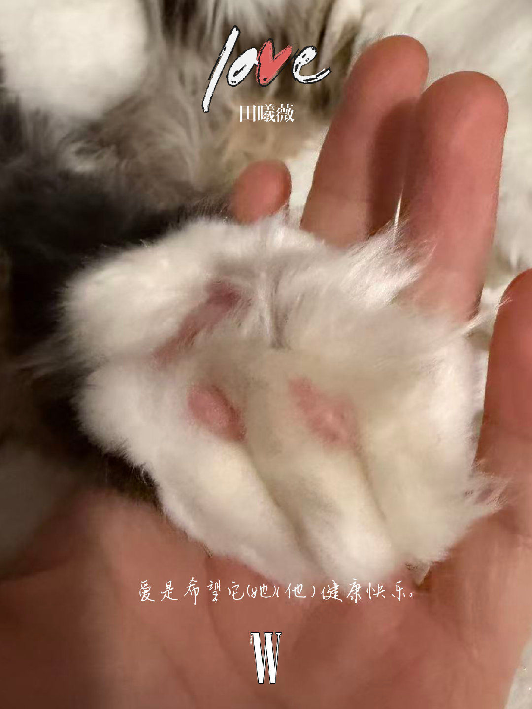 最朴实无华祝福 ​​​