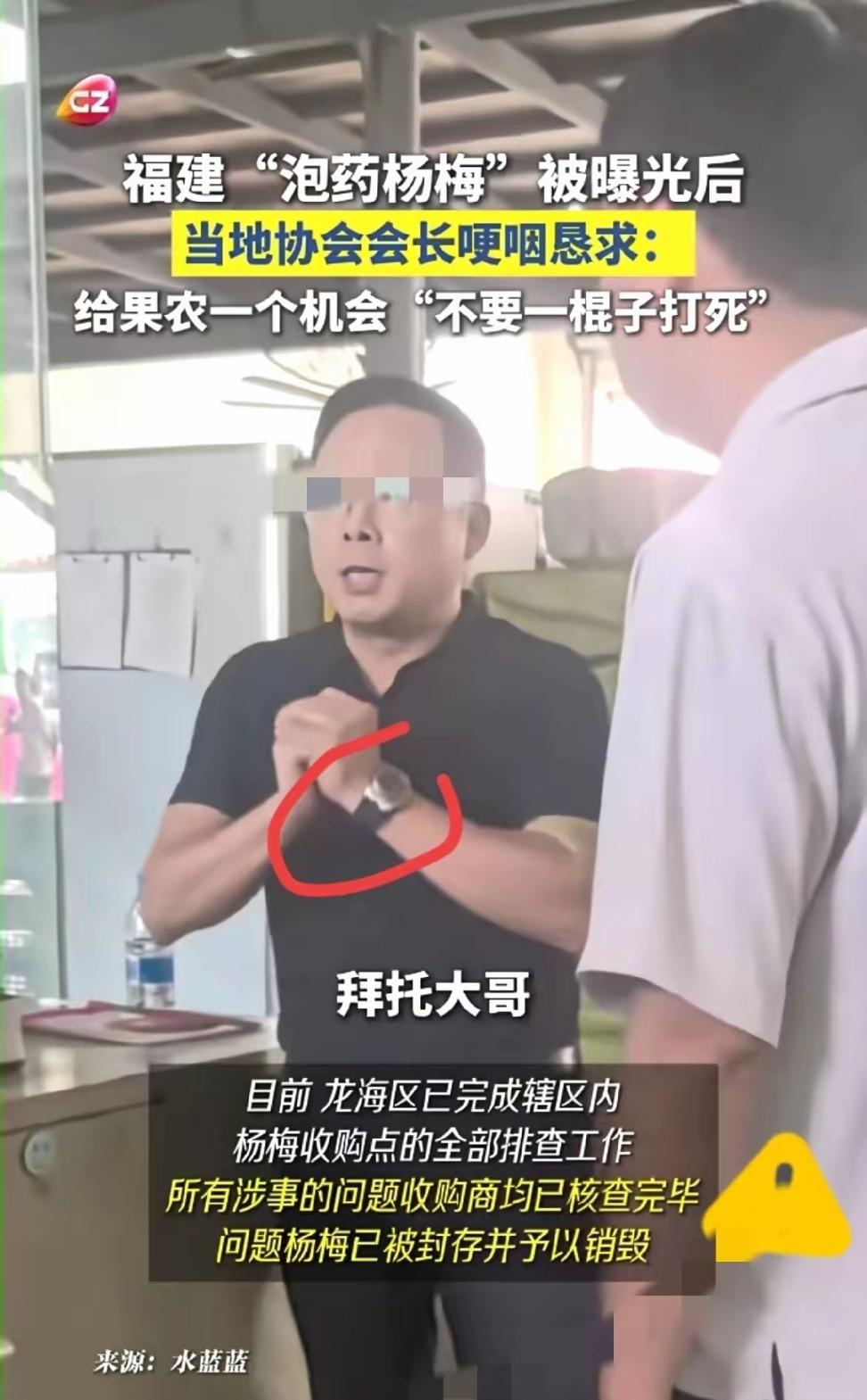 “泡药事件”让漳州杨梅产业彻底崩溃，协会会长说“不要一棍子打死”，反被指“赚黑心