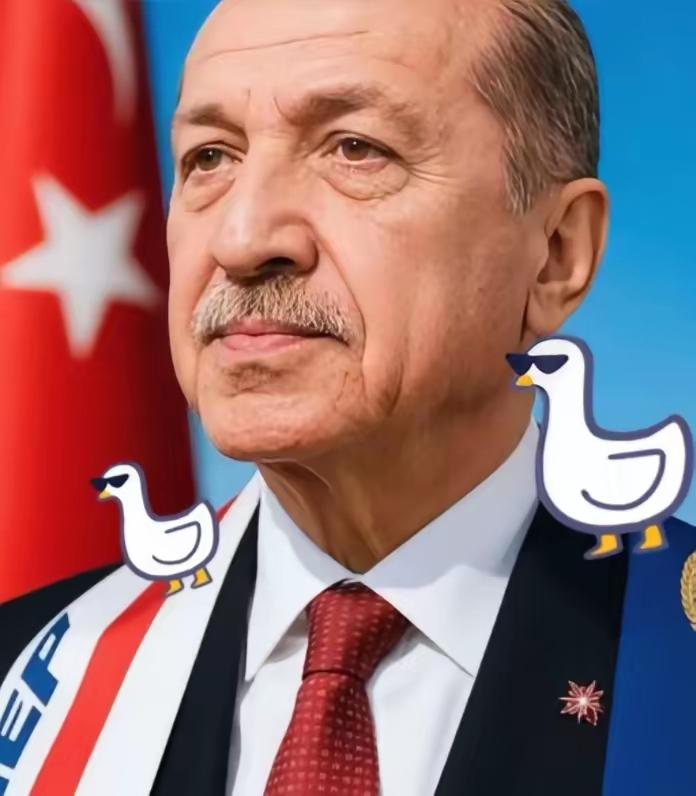 这次土耳其算是彻底打错了算盘！以为还能像当年卡我们要道那样，逼着中国企业低头。 