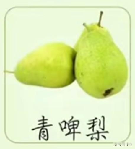 采桑子48·青啤梨
       冰肌乍剖凝酥色，碧沁绡囊，玉坠枝旁，疑是春娥剪