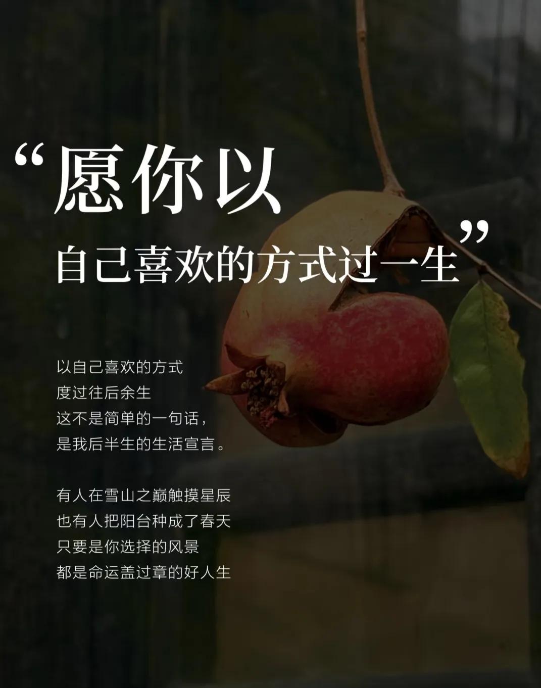 人这一辈子走过春夏秋冬，尝遍酸甜苦辣，历尽千辛万苦，每天烦恼又积极的活着。
如果