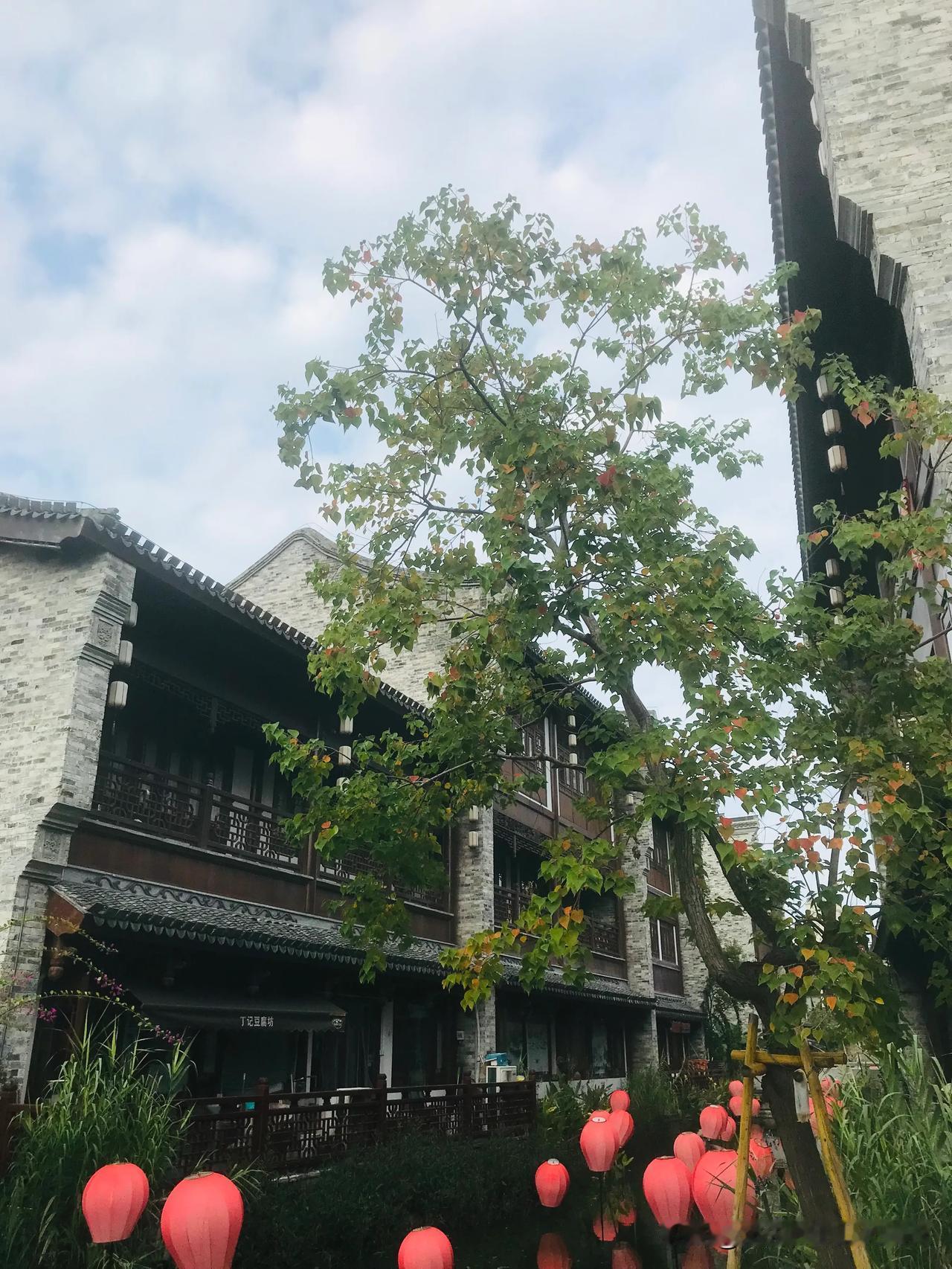 凉快了几日｜今天又开始燥热起来了[机智]
#景景᭄🍀# #城市风景分享＃# #