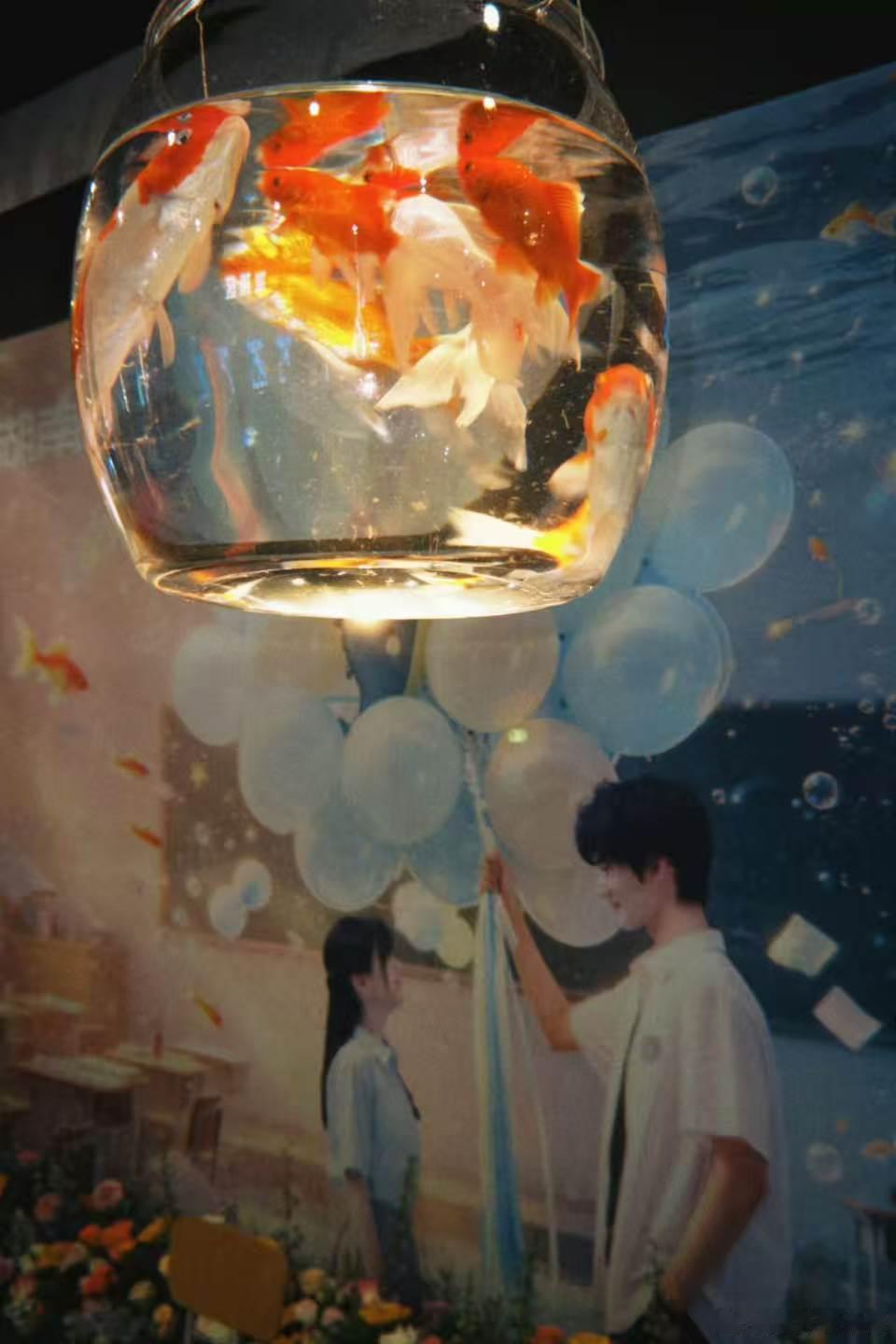炽夏追剧团挂了金鱼缸炽夏炽夏追剧团的金鱼缸布景太有心意，完美贴合剧集故事，陆西骁