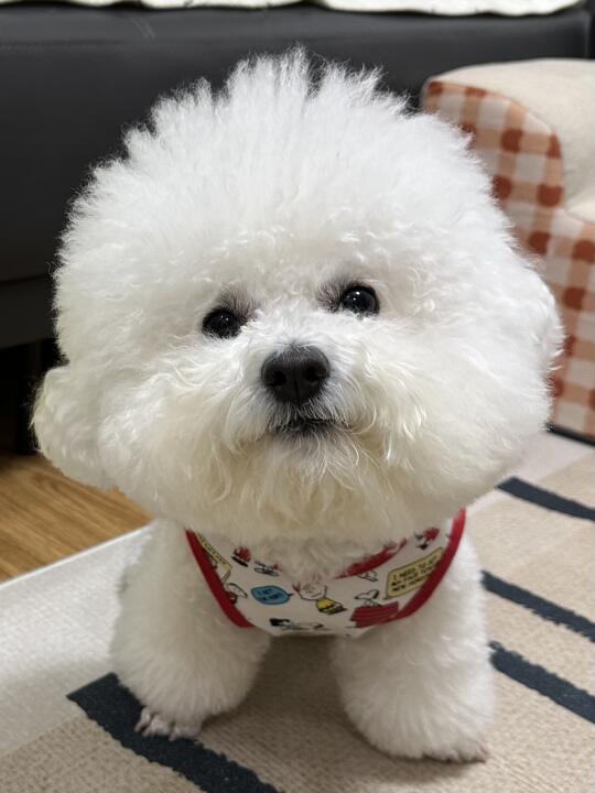 我妈说我不听话ee不会喜欢我了