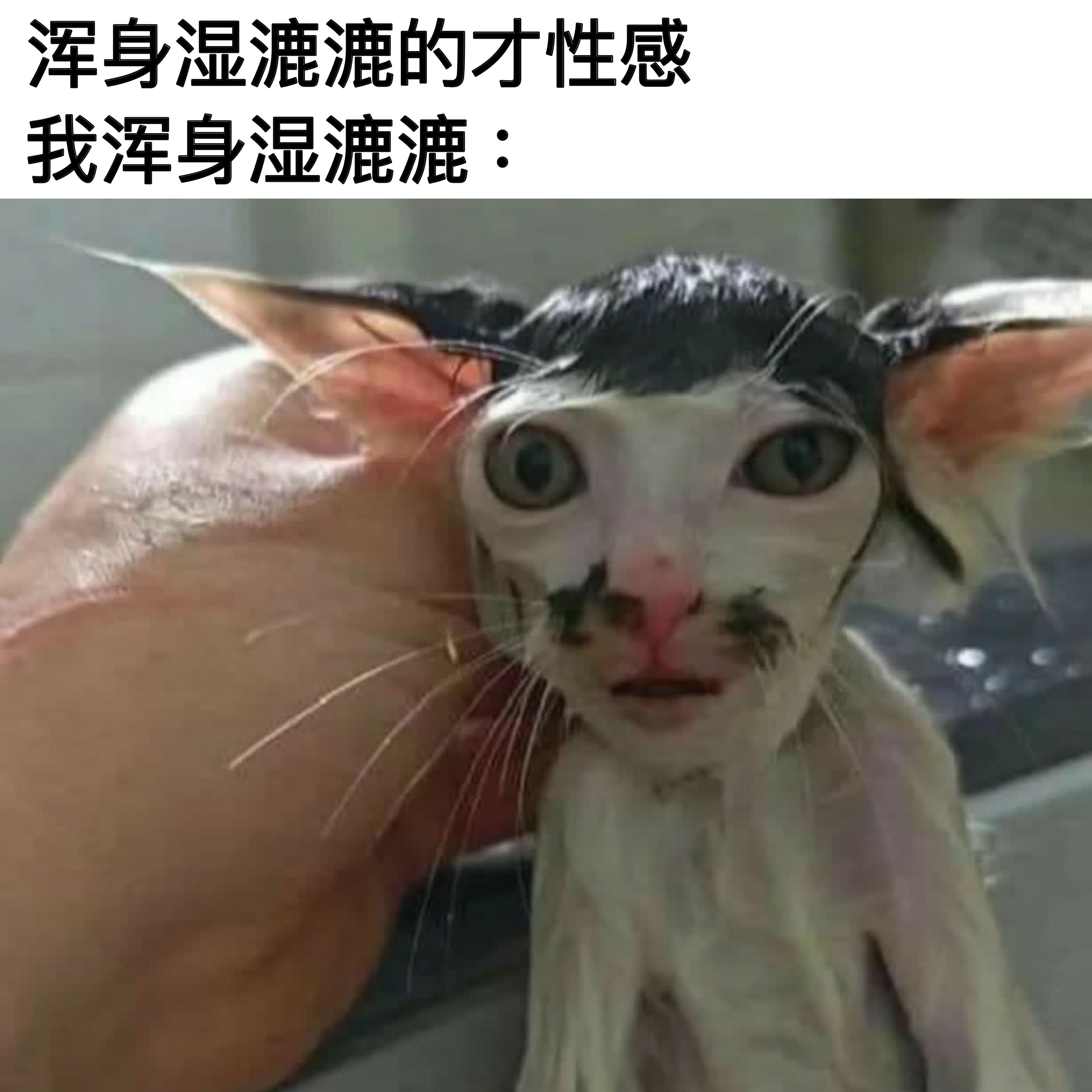 你这个不一样 