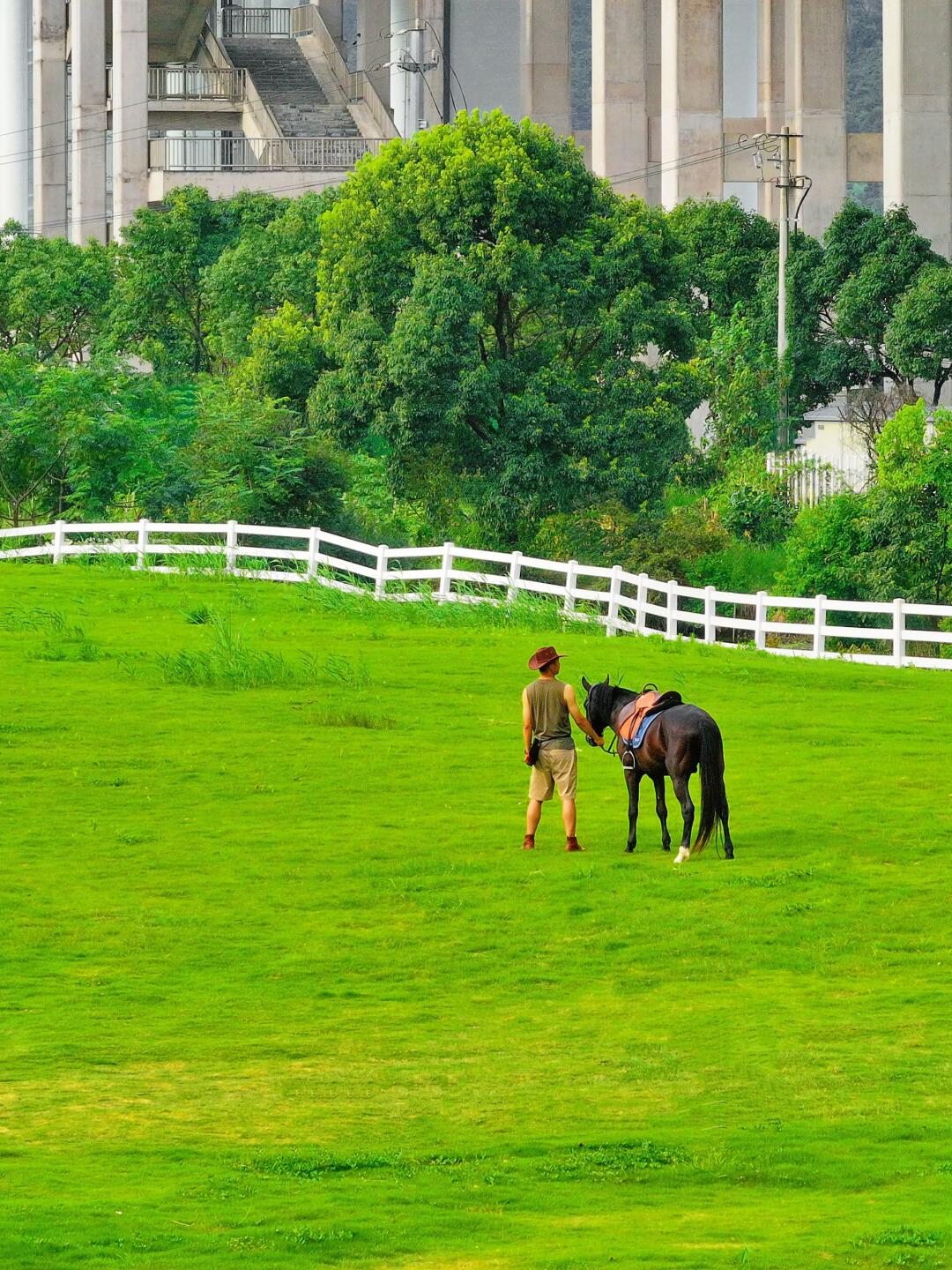 你们来都来温州了，没发现这里吗❓