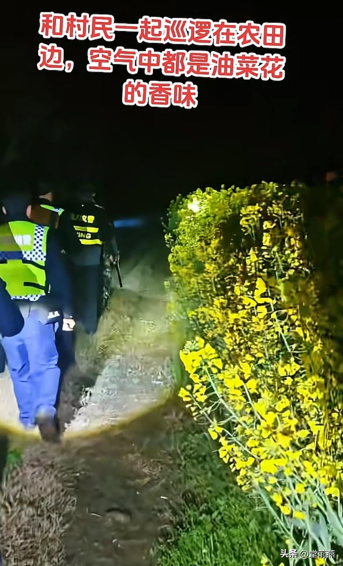 夜里自发和村里青壮年一起在油菜花地里巡田，看见打药机飞就打。

有老伯跟我说乡下