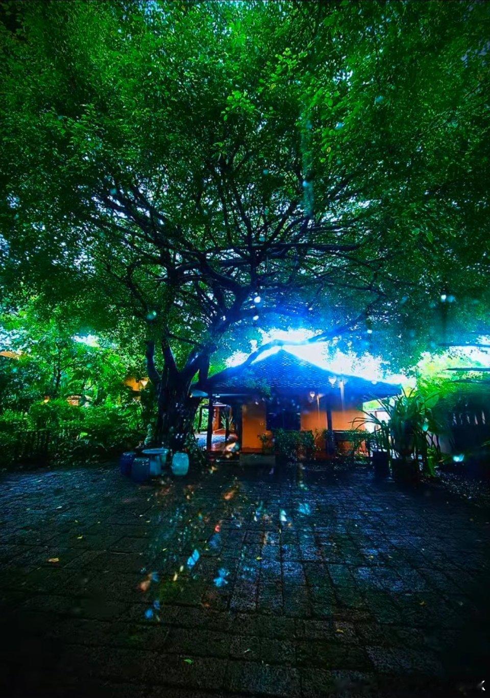 20260729 | 《宿世情味》Q5！换场记板了耶  专栏 · 宿世情味