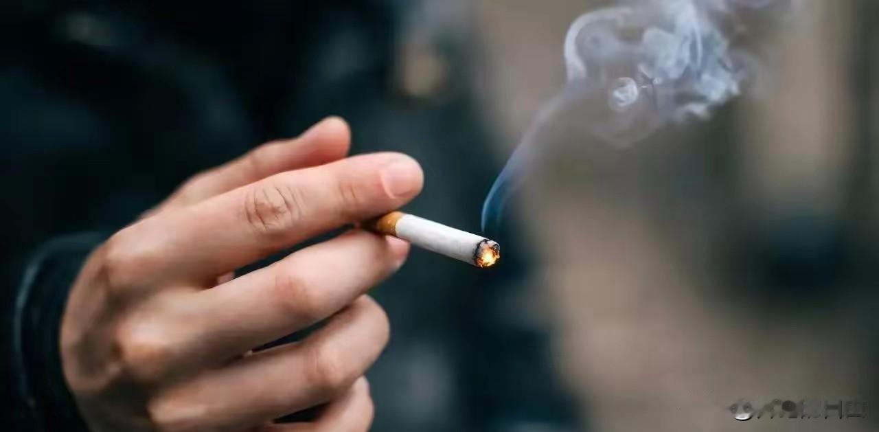 香港突然宣布了。
就在2026年1月1日，在香港，由特区政府和卫生部门推出的新规