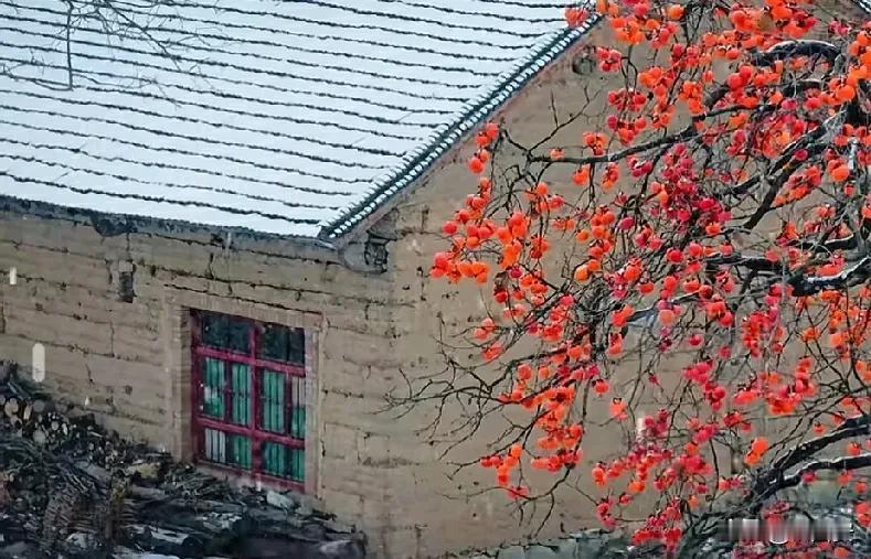 西安一下雪就变成了长安…

昨天，西安多地下雪，有不少朋友跑出去拍雪景，雪后的西