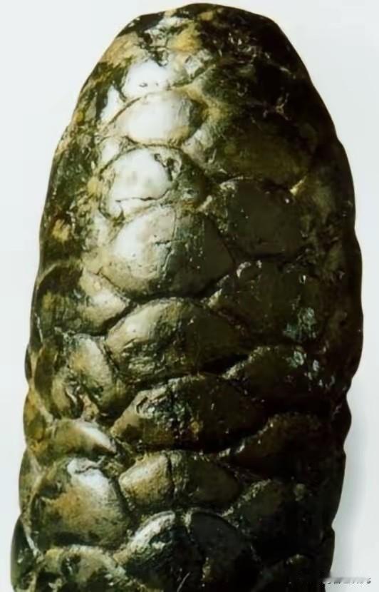 松塔形古器现世记

1973年，宁夏一对年轻的夫妻，天没亮就出门赶集，走在前方的