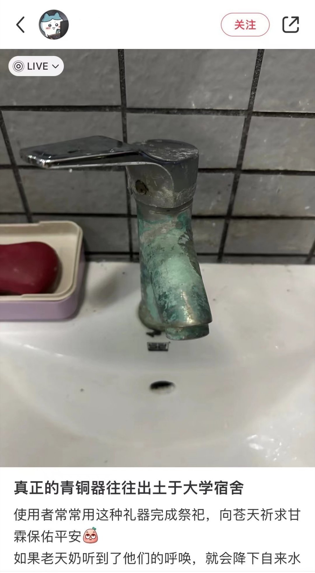 大学宿舍盛产青铜器 