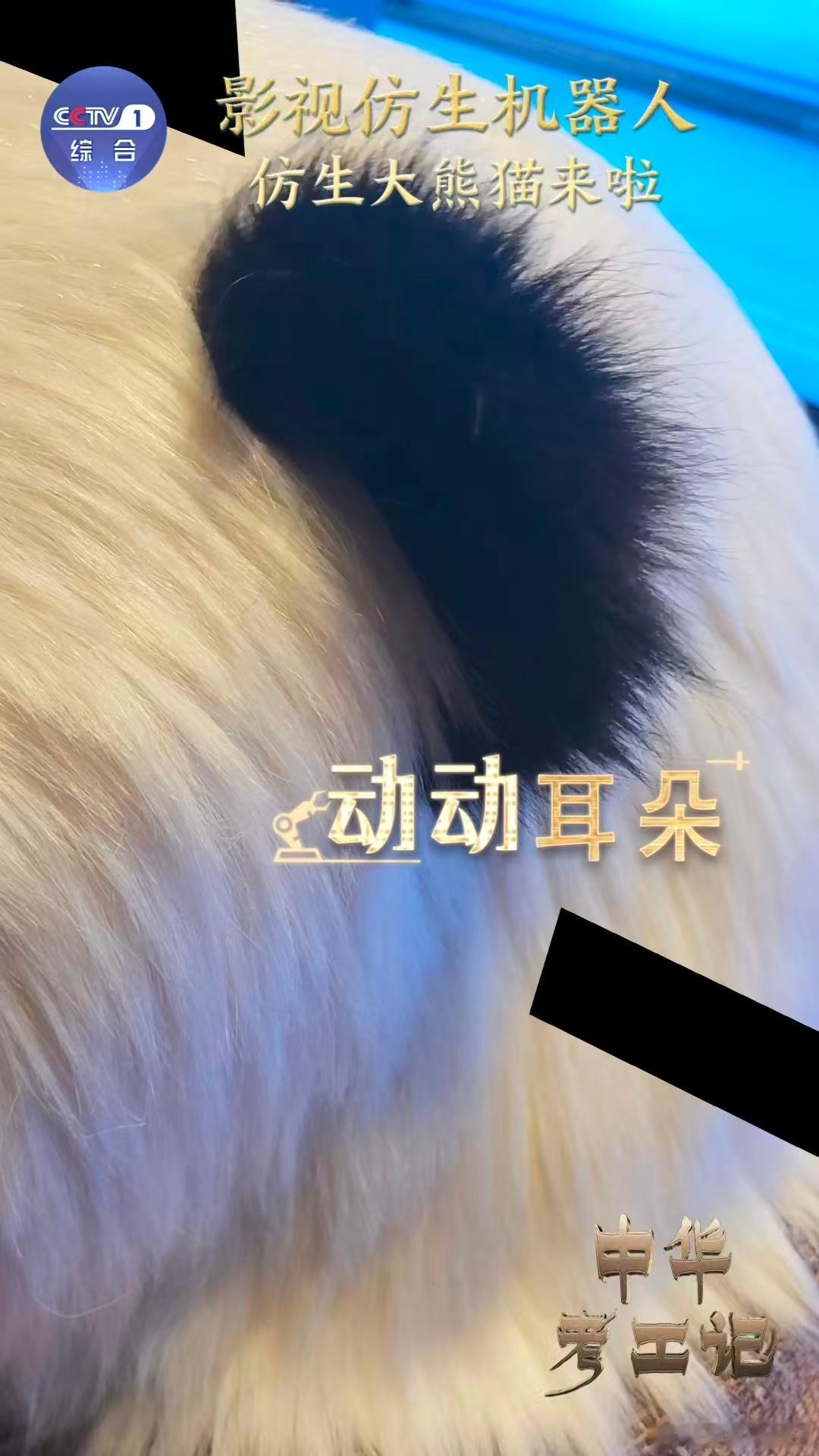 能模仿表情的仿生熊猫首次亮相居然见到能模仿表情的仿生熊猫了，这也太酷了吧！光想想