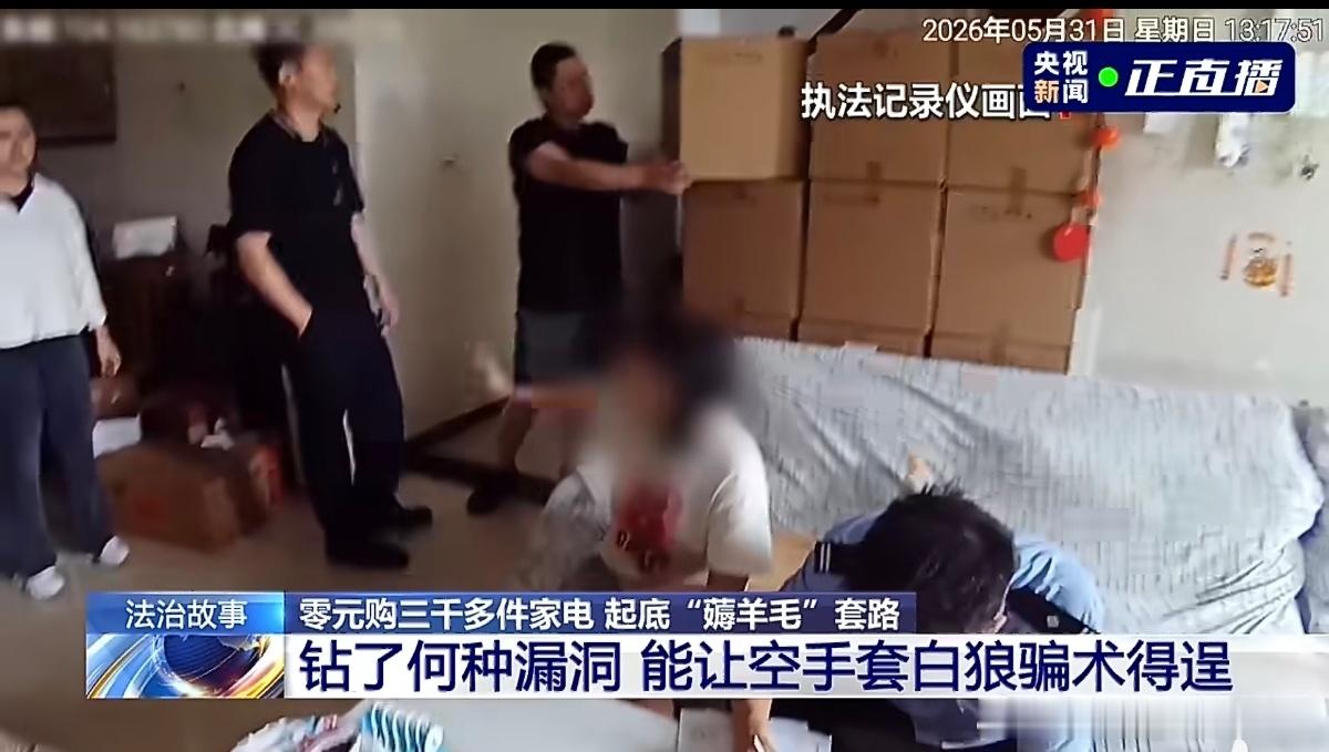 要素太多这个张某是这家电商平台的前员工，利用平台漏洞薅了三千台小家电，还用了亲戚
