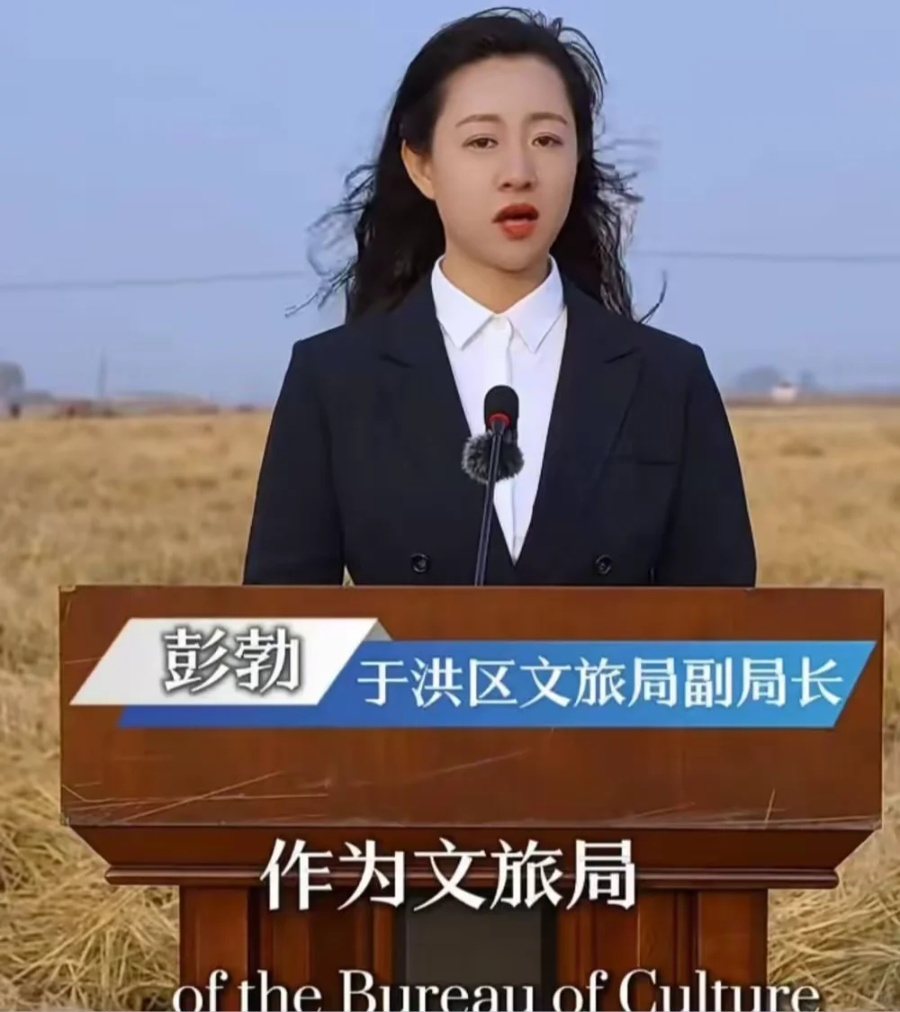 大反转！某旅游局副局长麦田里全英文加东北
