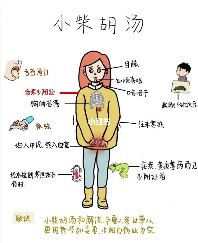 遇事不决小柴胡，小柴胡你要会用
