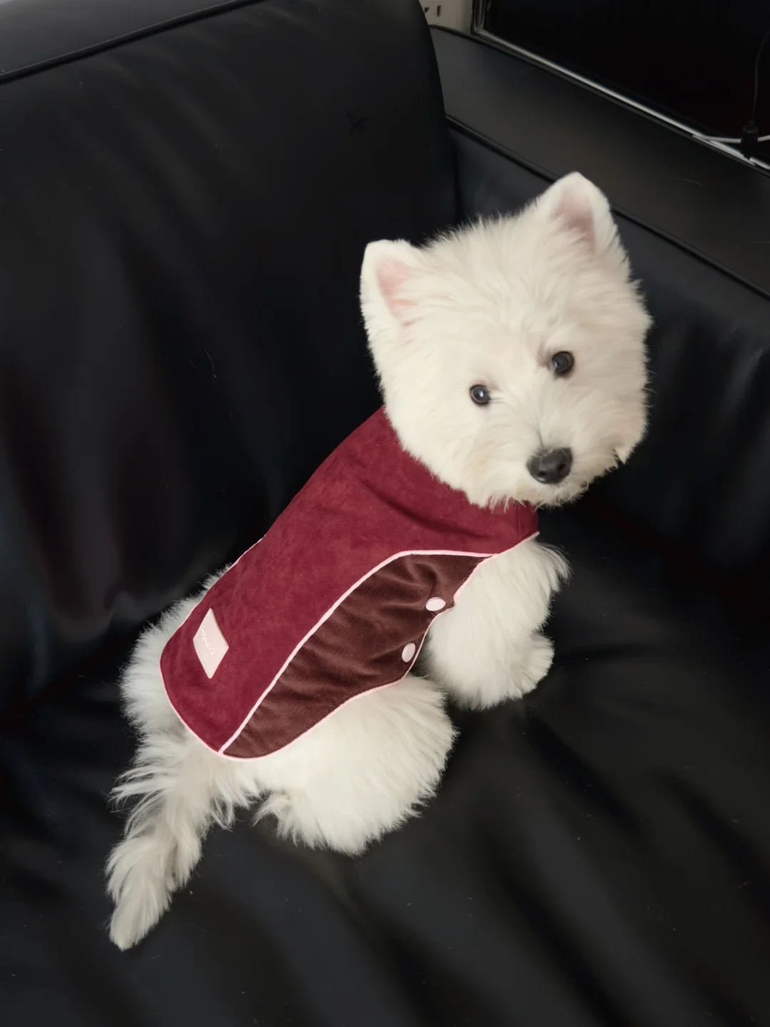 进入新春倒计时啦！